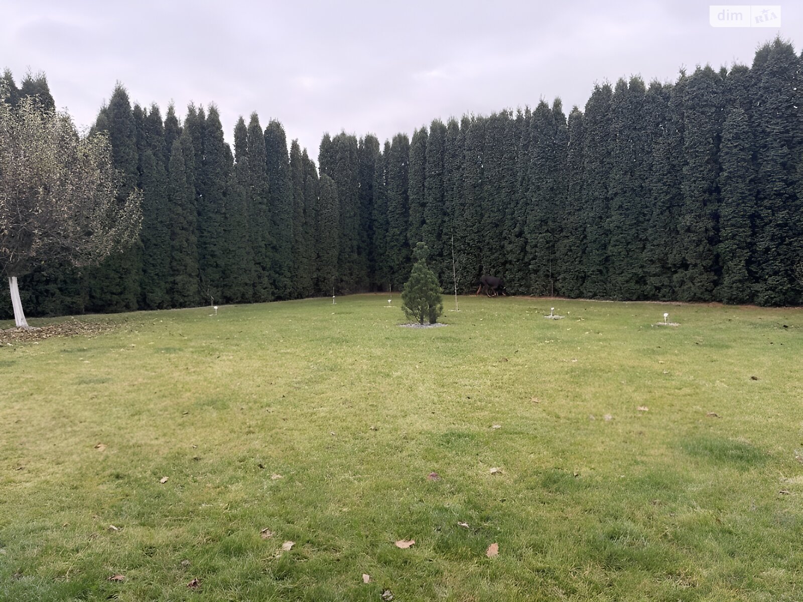 двоповерховий будинок з гаражем, 190 кв. м, цегла. Продаж у Гаразджі фото 1 двоповерховий будинок з гаражем, 190 кв. м, цегла. Продаж у Гаразджі фото 1