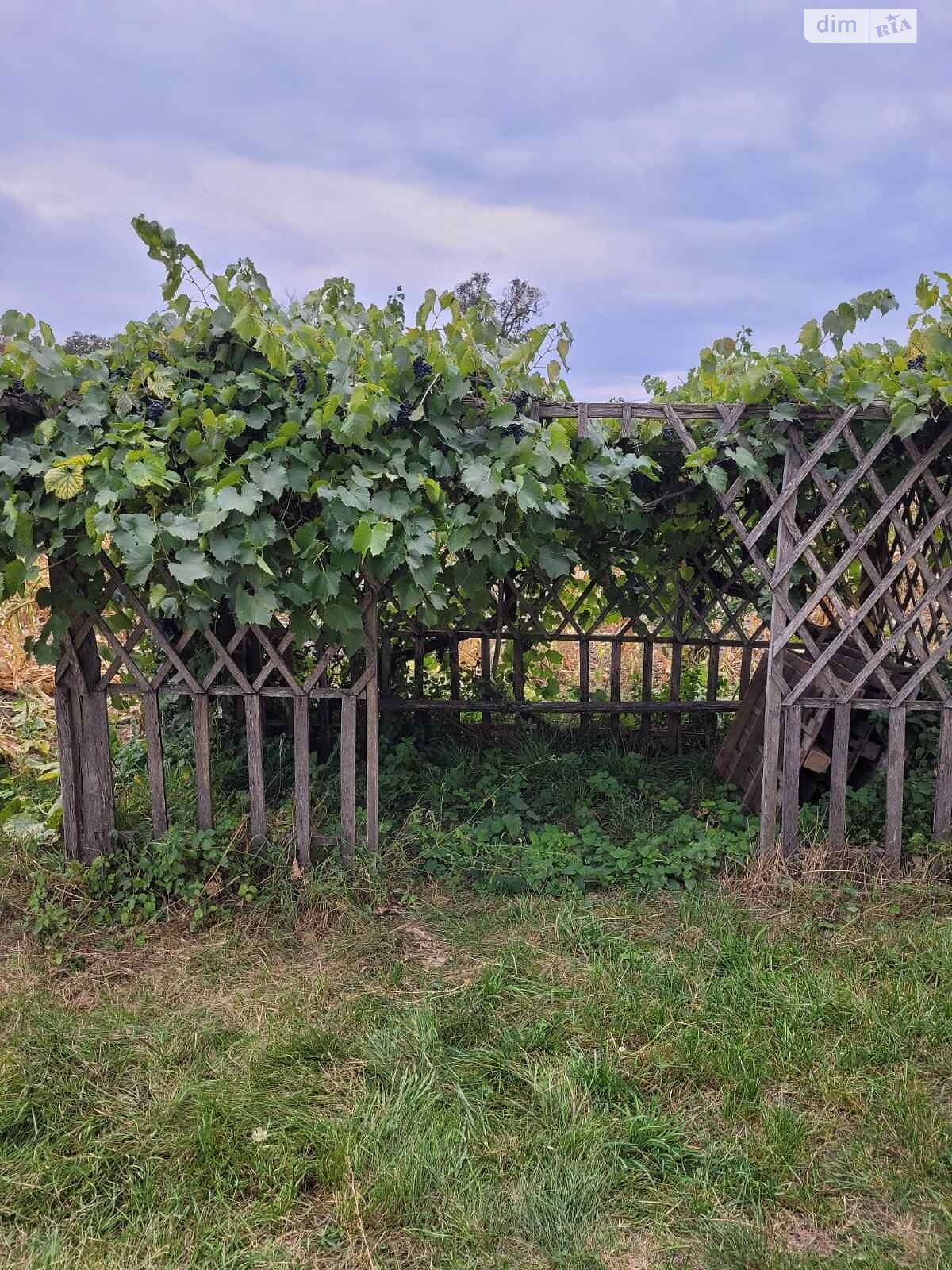 одноэтажный дом с гаражом, 45 кв. м, кирпич. Продажа в Гарячковке фото 1 одноэтажный дом с гаражом, 45 кв. м, кирпич. Продажа в Гарячковке фото 1