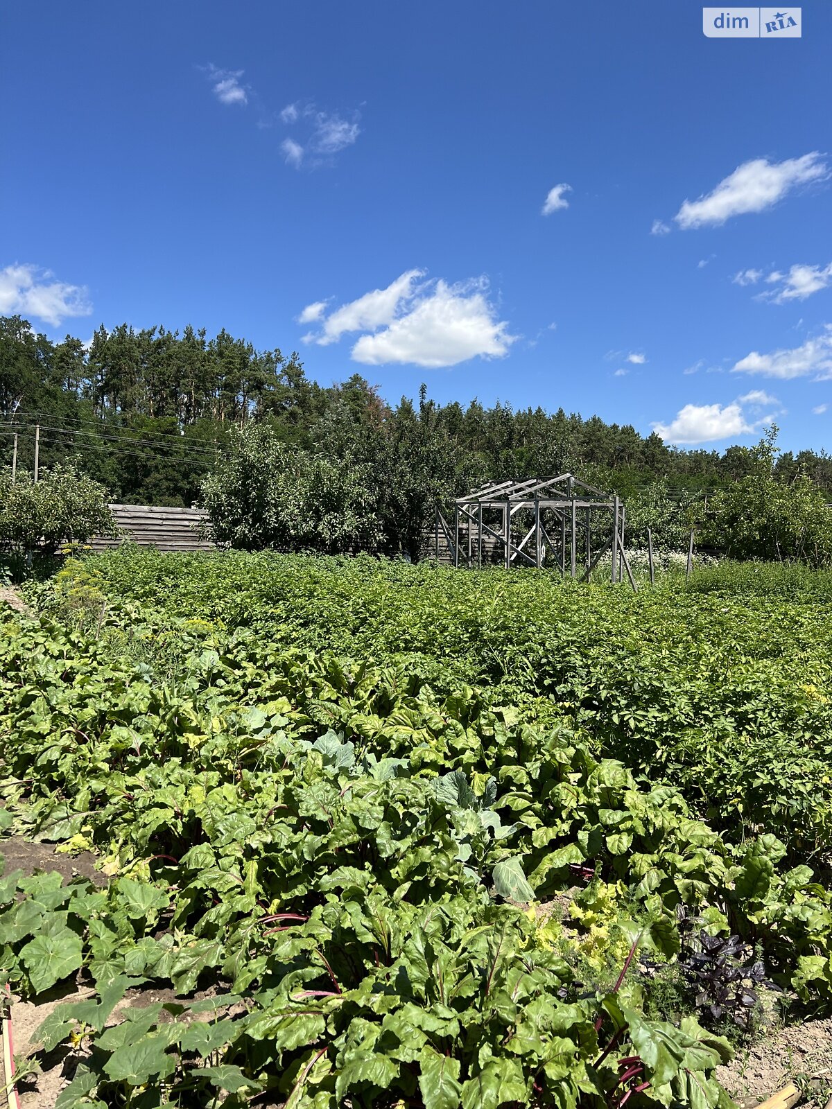 одноповерховий будинок з мансардою, 99 кв. м, цегла. Продаж у Гаврилівці фото 1 одноповерховий будинок з мансардою, 99 кв. м, цегла. Продаж у Гаврилівці фото 1