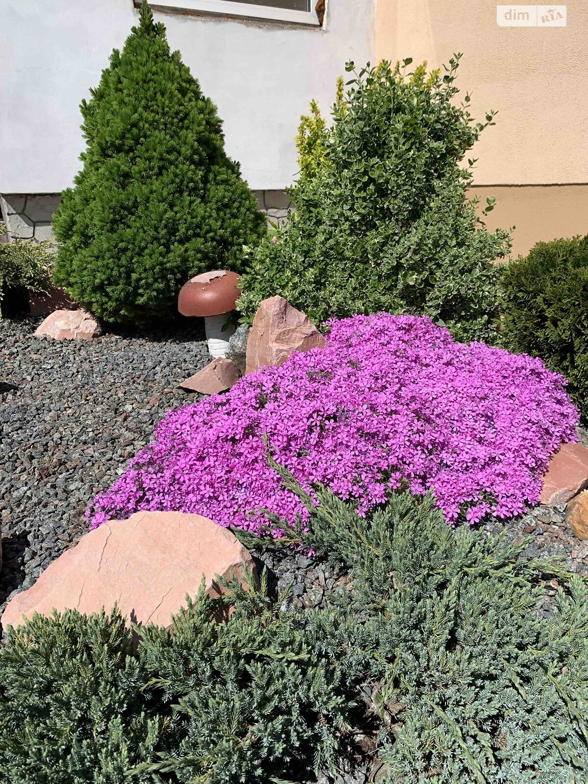 одноповерховий будинок з мансардою, 99 кв. м, цегла. Продаж у Гаврилівці фото 1 одноповерховий будинок з мансардою, 99 кв. м, цегла. Продаж у Гаврилівці фото 1