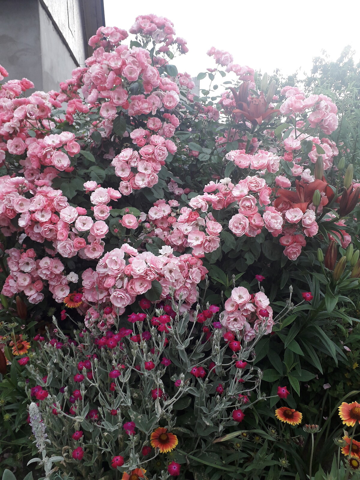 одноповерховий будинок з мансардою, 99 кв. м, цегла. Продаж у Гаврилівці фото 1 одноповерховий будинок з мансардою, 99 кв. м, цегла. Продаж у Гаврилівці фото 1