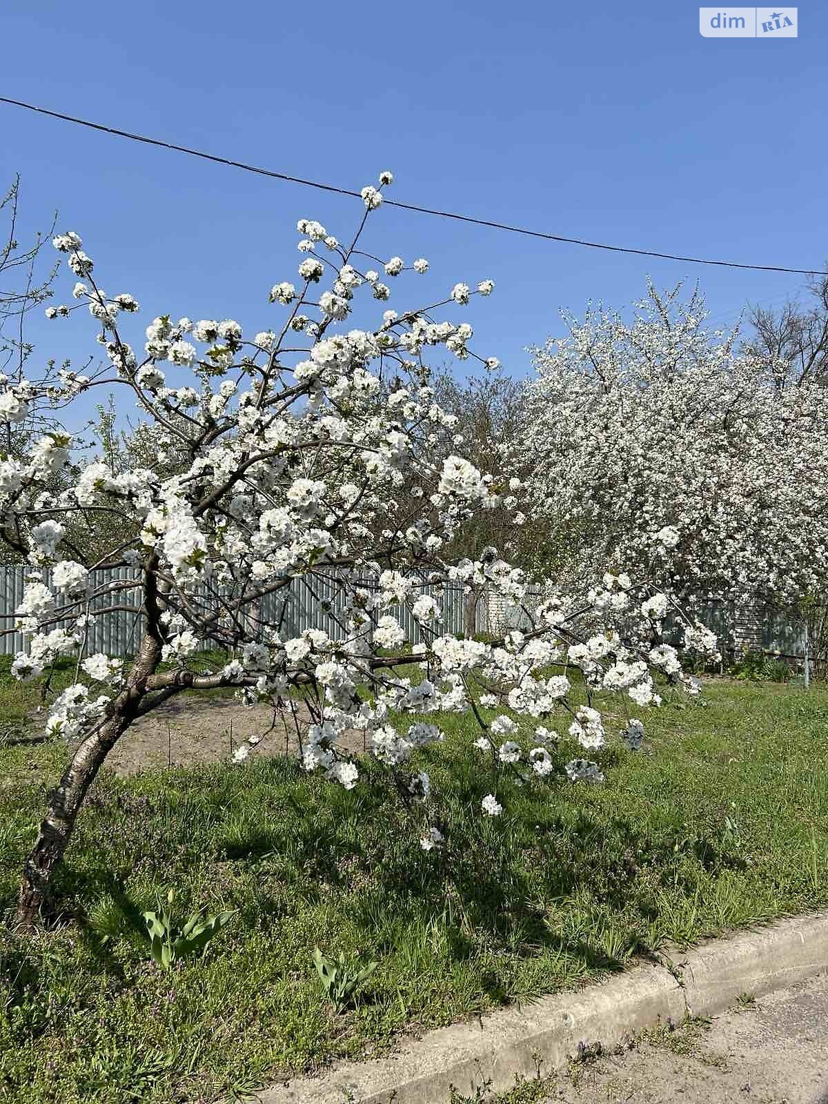 одноэтажный дом с мебелью, 130.3 кв. м, кирпич. Продажа в Гавриловке фото 1