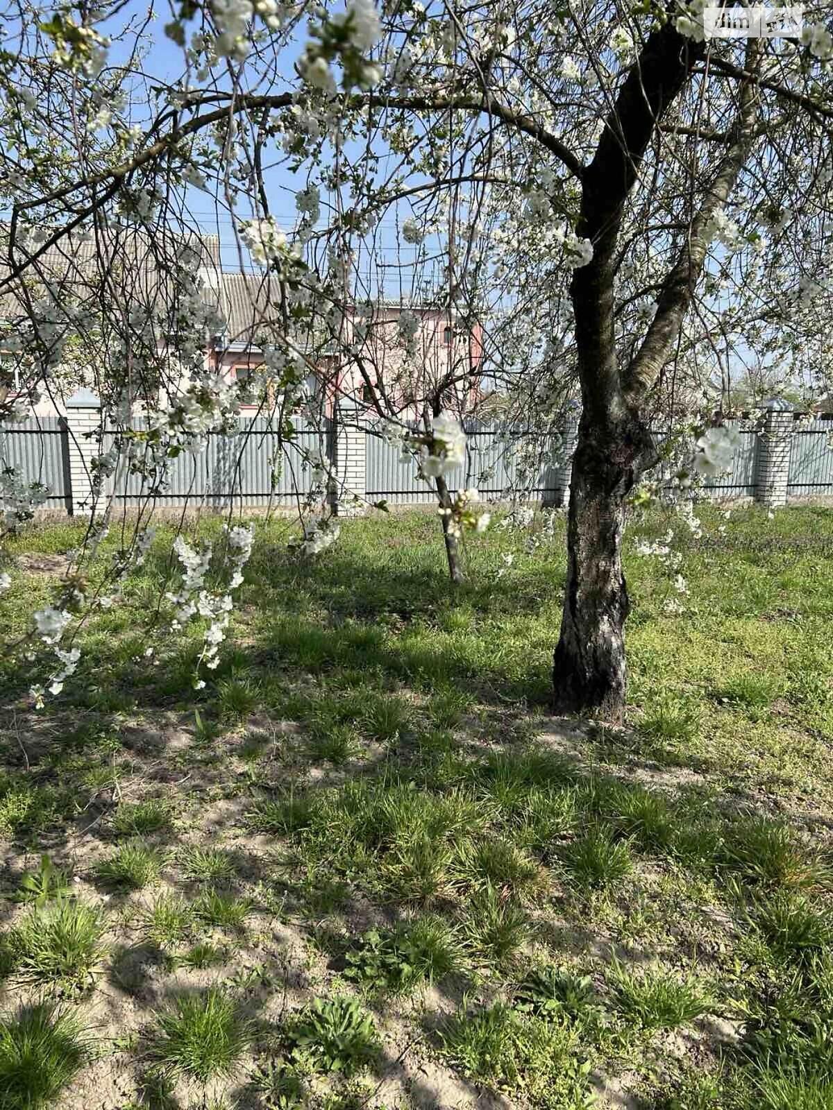 двоповерховий будинок з меблями, 130.3 кв. м, цегла. Продаж у Гаврилівці фото 1 двоповерховий будинок з меблями, 130.3 кв. м, цегла. Продаж у Гаврилівці фото 1