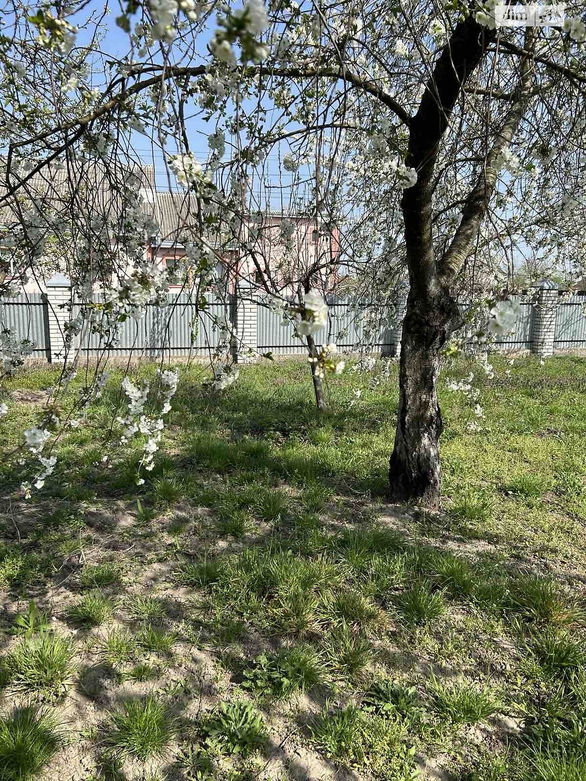 двоповерховий будинок з ремонтом, 130.3 кв. м, цегла. Продаж у Гаврилівці фото 1 двоповерховий будинок з ремонтом, 130.3 кв. м, цегла. Продаж у Гаврилівці фото 1