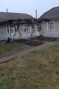 одноповерховий будинок з опаленням, 200 кв. м, цегла. Продаж у Гавриляку фото 2