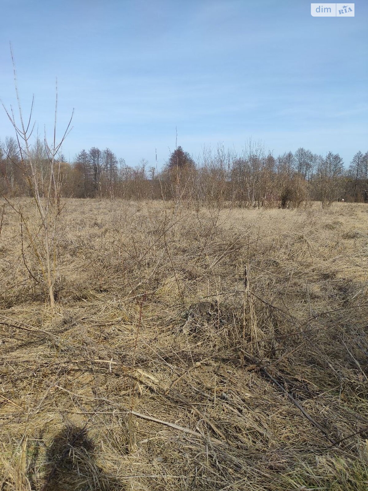 одноповерховий будинок, 46.5 кв. м, цегла. Продаж у Гавришівці фото 1