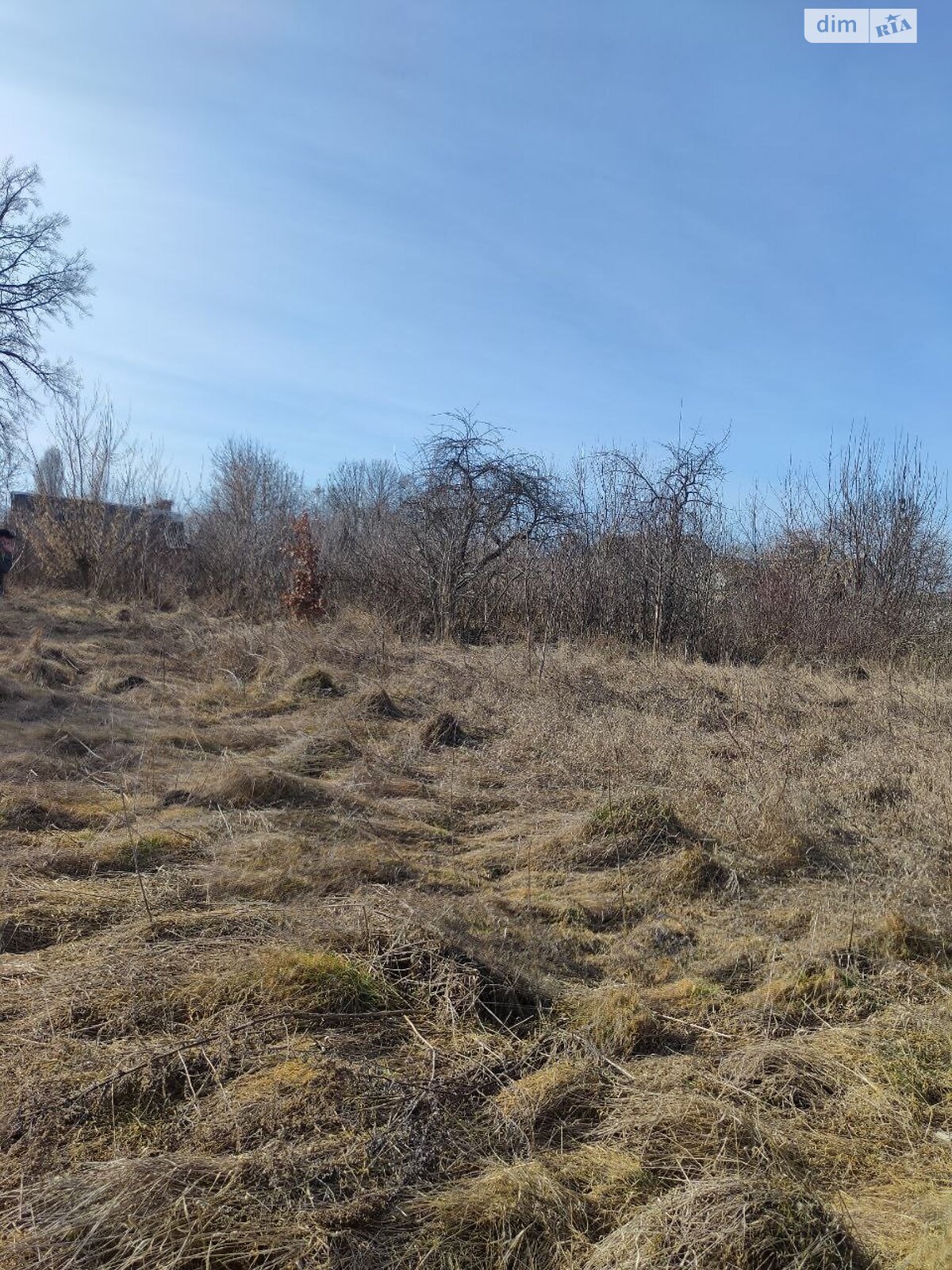 одноповерховий будинок, 46.5 кв. м, цегла. Продаж у Гавришівці фото 1