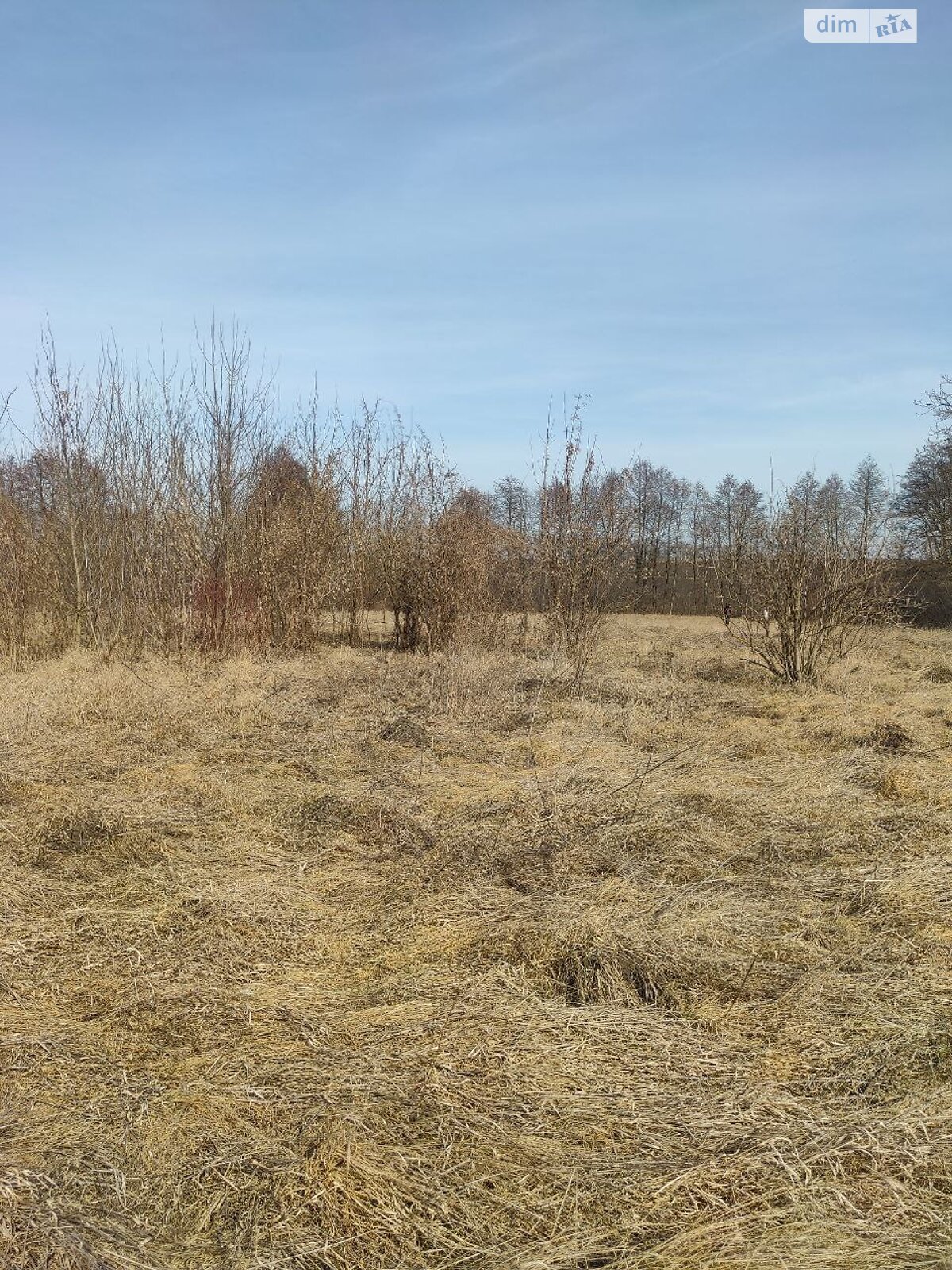 одноповерховий будинок, 46.5 кв. м, цегла. Продаж у Гавришівці фото 1