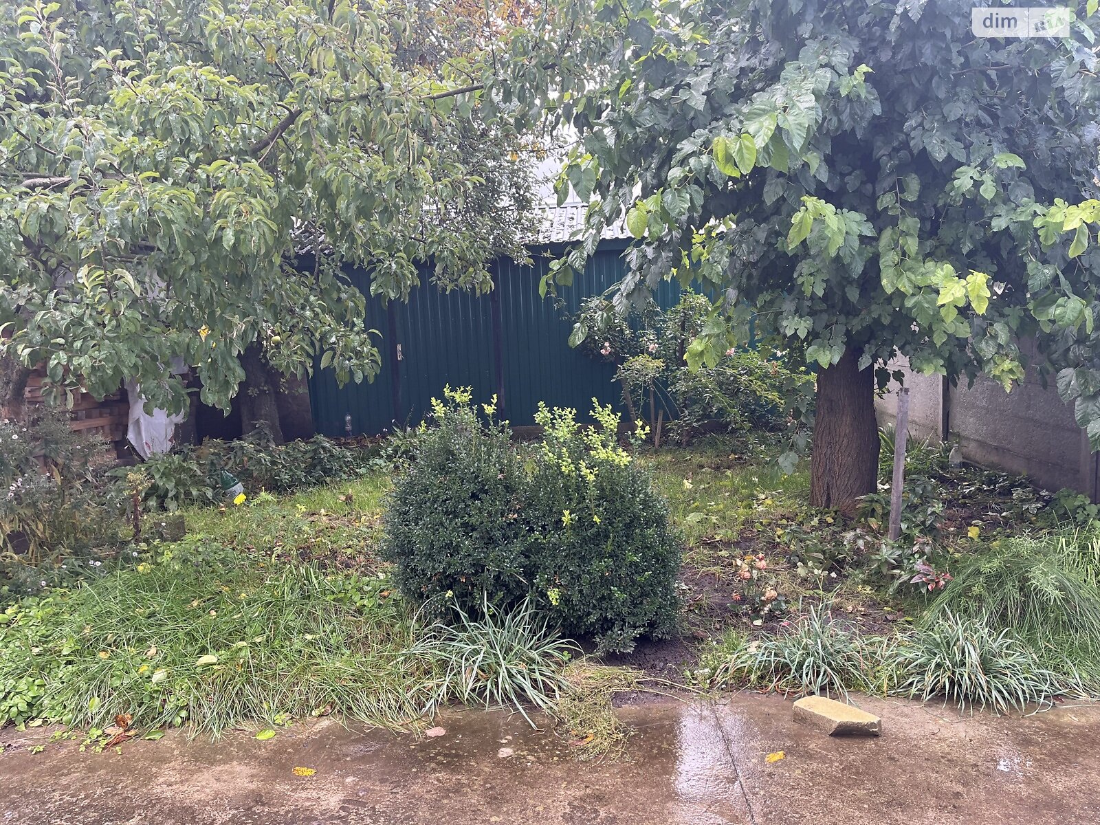 одноповерховий будинок з верандою, 55 кв. м, цегла. Продаж у Гавришівці фото 1 одноповерховий будинок з верандою, 55 кв. м, цегла. Продаж у Гавришівці фото 1