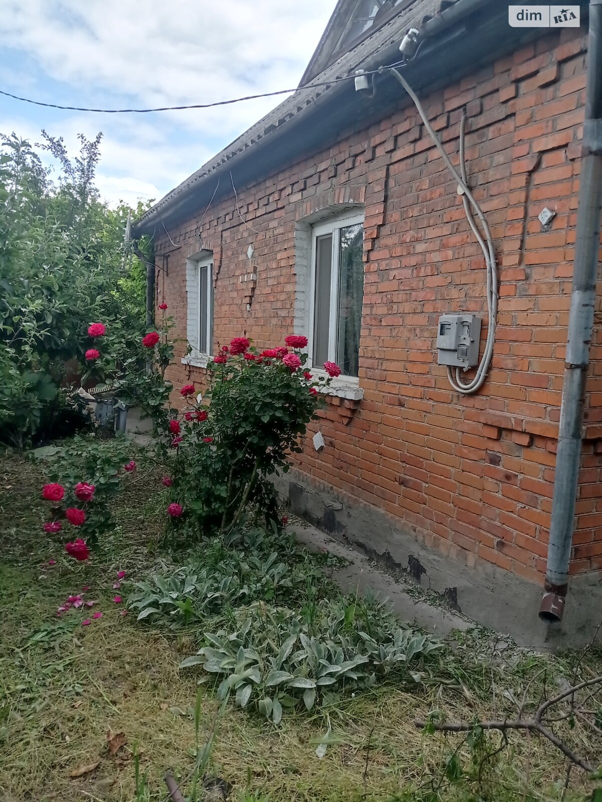 одноповерховий будинок з верандою, 78 кв. м, цегла. Продаж в Гайсині, район Гайсин фото 1 одноповерховий будинок з верандою, 78 кв. м, цегла. Продаж в Гайсині, район Гайсин фото 1