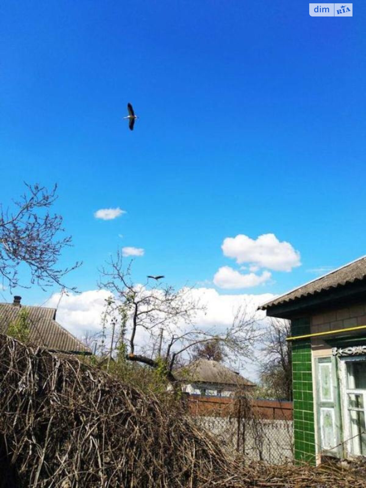 одноповерховий будинок з гаражем, 64 кв. м, дерево та цегла. Продаж у Гельмязові фото 1 одноповерховий будинок з гаражем, 64 кв. м, дерево та цегла. Продаж у Гельмязові фото 1