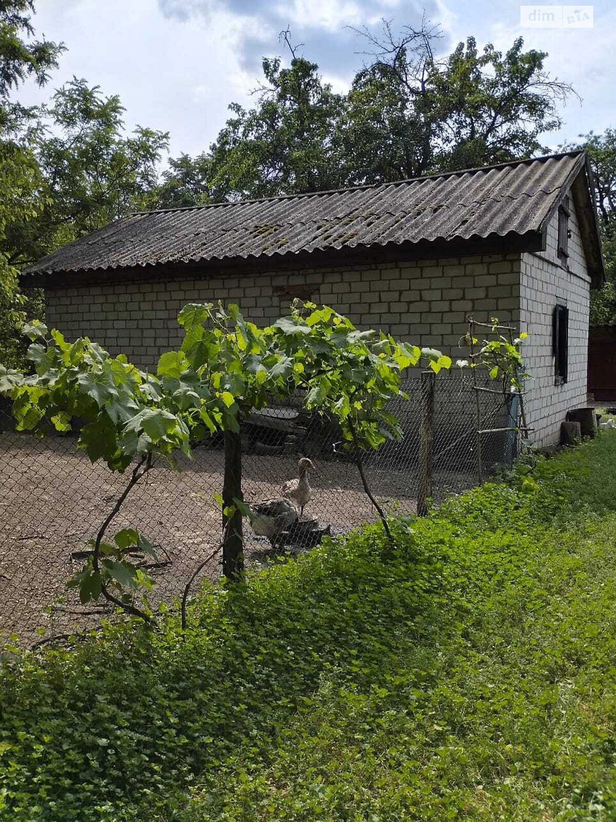 одноэтажный дом с гаражом, 50 кв. м, дерево и кирпич. Продажа в Герасимовке фото 1 одноэтажный дом с гаражом, 50 кв. м, дерево и кирпич. Продажа в Герасимовке фото 1