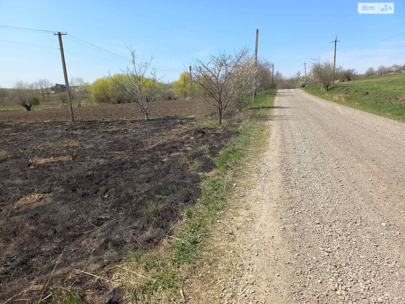 одноповерховий будинок, 40 кв. м, цегла. Продаж у Луковиці фото 1 одноповерховий будинок, 40 кв. м, цегла. Продаж у Луковиці фото 1