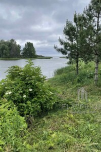 одноповерховий будинок з гаражем, 190 кв. м, піноблок. Продаж у Глібівці фото 2
