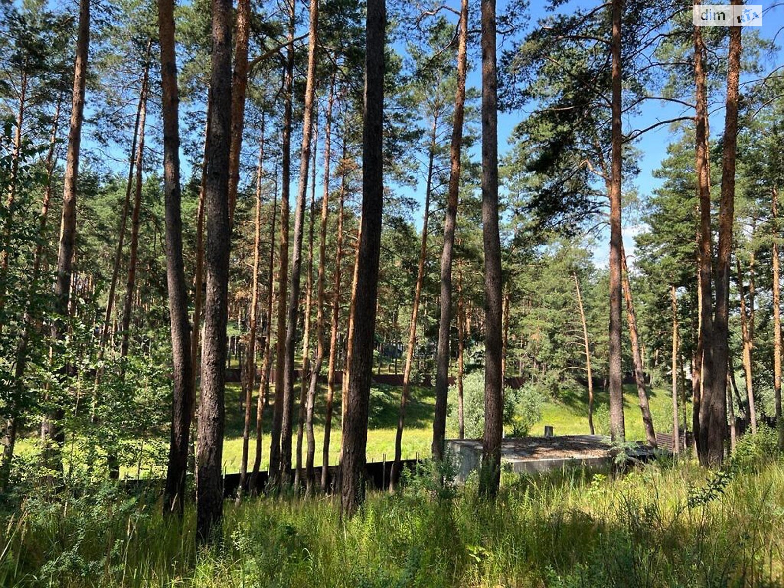 двухэтажный дом с отоплением, 510 кв. м, брус. Продажа в Глевахе фото 1 двухэтажный дом с отоплением, 510 кв. м, брус. Продажа в Глевахе фото 1