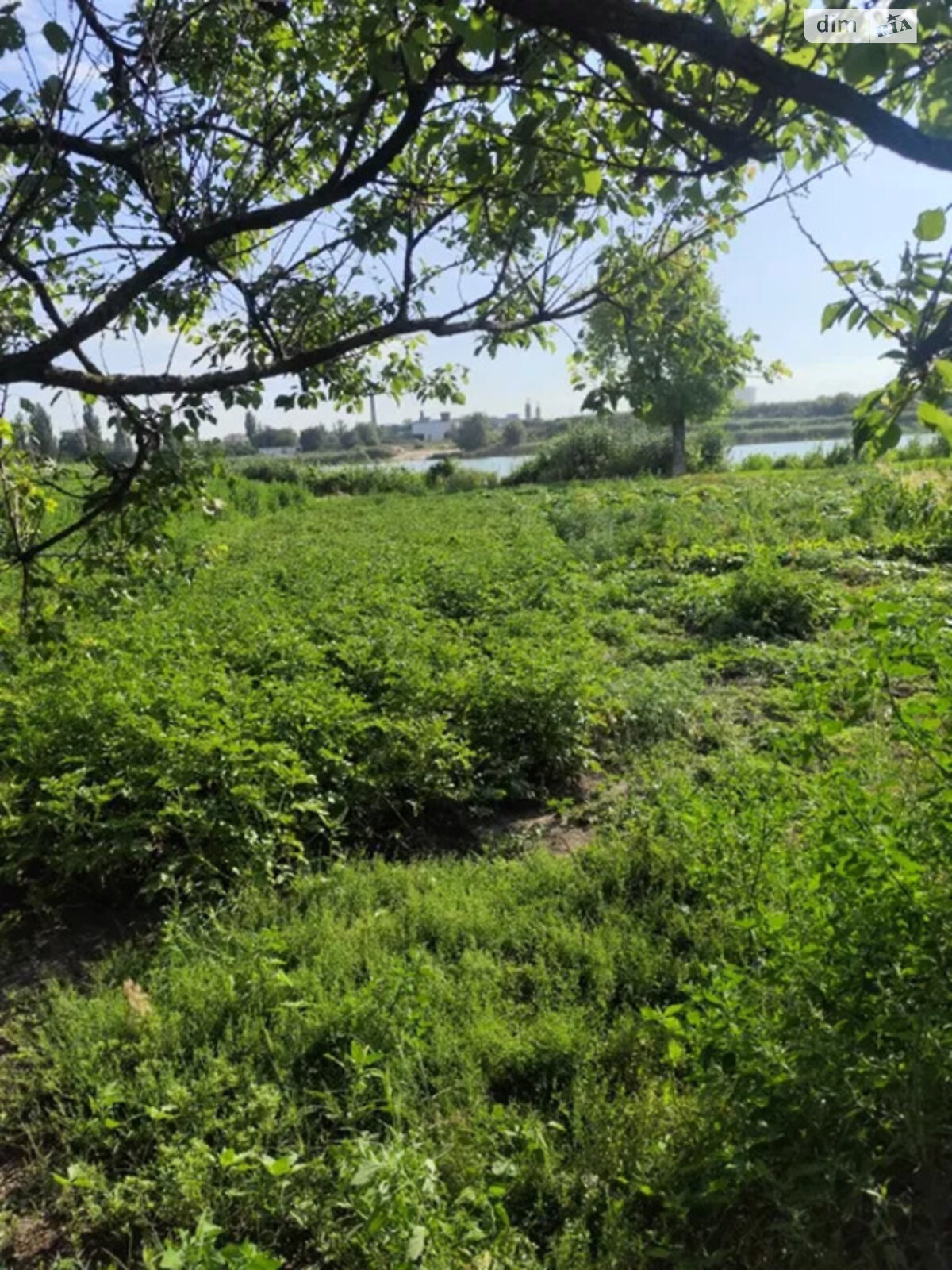 одноповерховий будинок з гаражем, 62 кв. м, цегла. Продаж у Глобиному фото 1