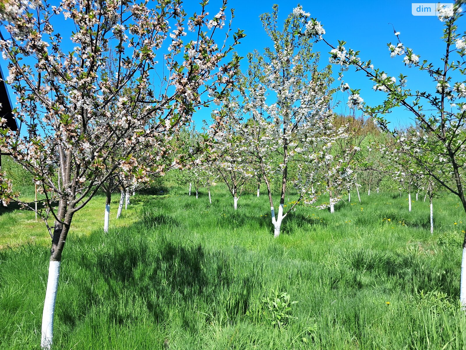 двоповерховий будинок веранда, 110 кв. м, брус. Продаж у Глибочиці фото 1