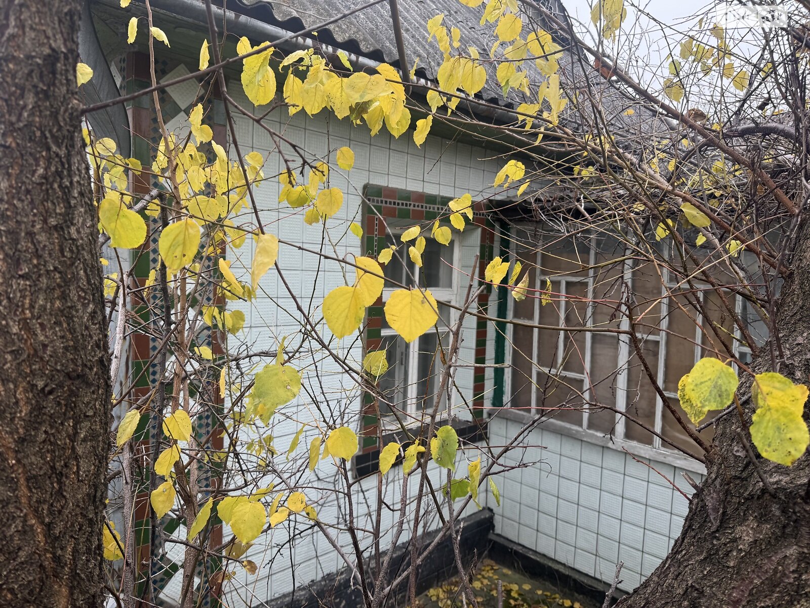 одноэтажный дом с отоплением, 68 кв. м, кирпич. Продажа в Гнивани район Гнивань фото 1