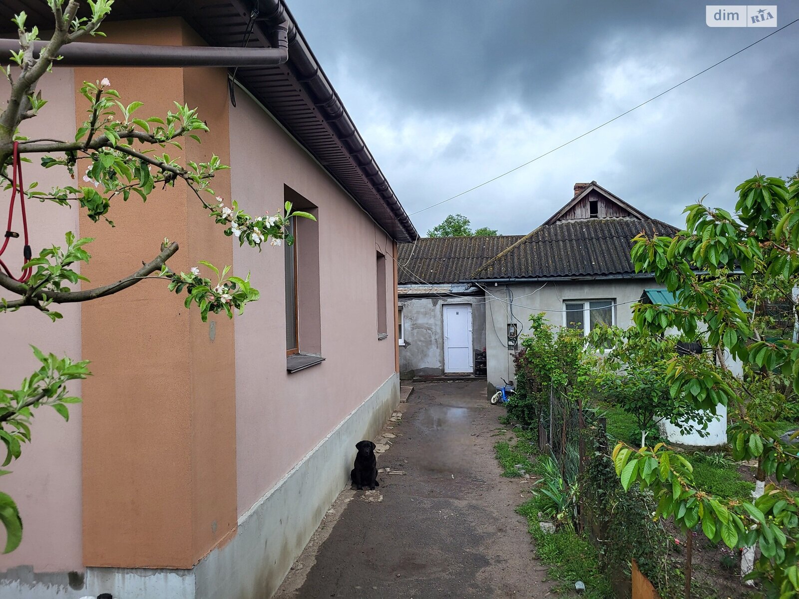одноэтажный дом, 74 кв. м, кирпич. Продажа в Гнивани фото 1 одноэтажный дом, 74 кв. м, кирпич. Продажа в Гнивани фото 1