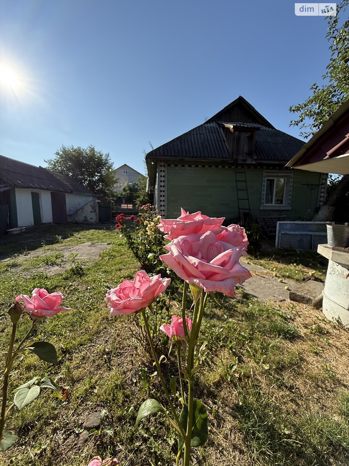 одноповерховий будинок з верандою, 90 кв. м, шлакобетон. Продаж в Гнівані, район Гнівань фото 1 одноповерховий будинок з верандою, 90 кв. м, шлакобетон. Продаж в Гнівані, район Гнівань фото 1