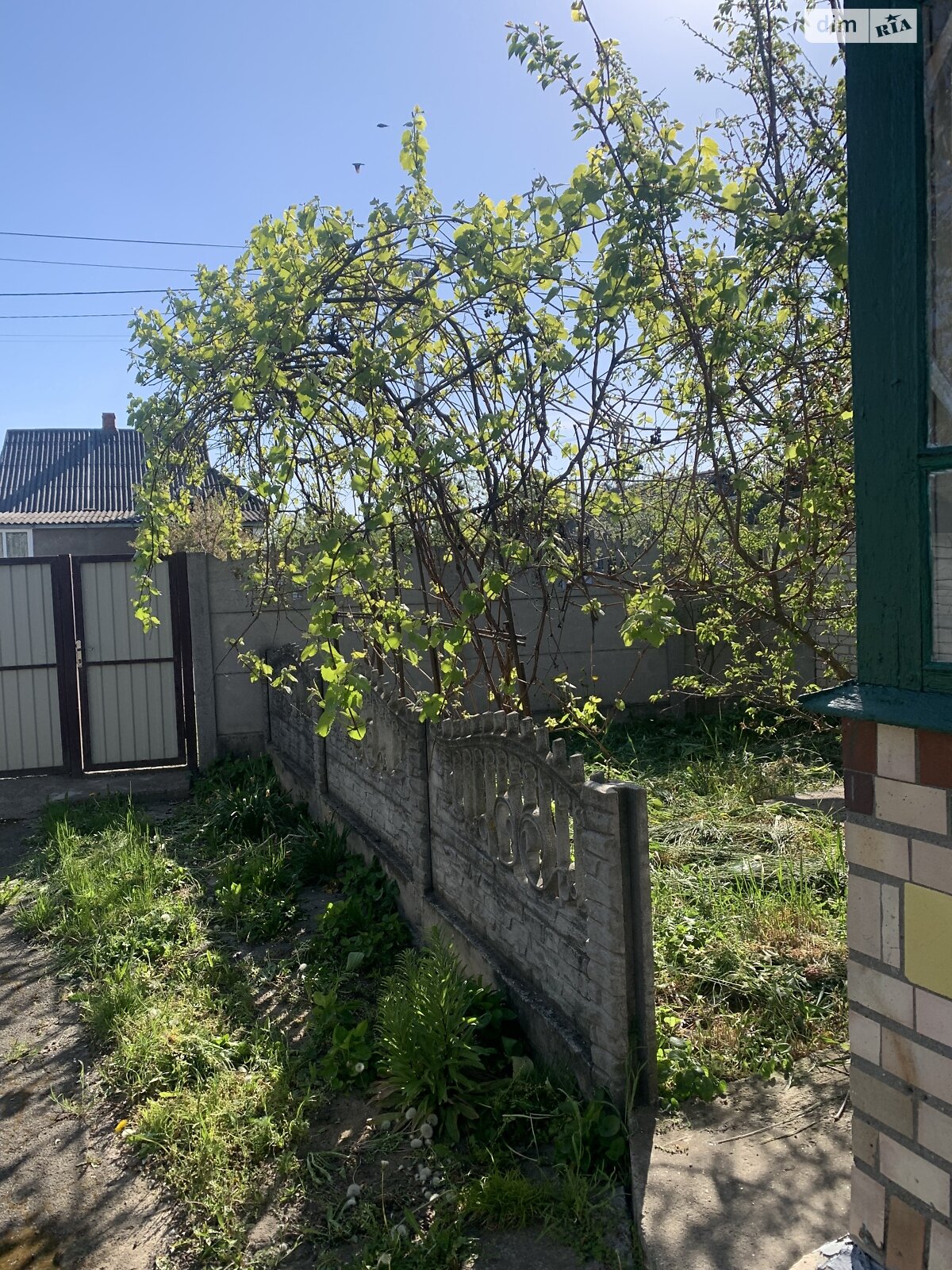 одноэтажный дом с отоплением, 78 кв. м, шлакоблок. Продажа в Гнивани фото 1 одноэтажный дом с отоплением, 78 кв. м, шлакоблок. Продажа в Гнивани фото 1