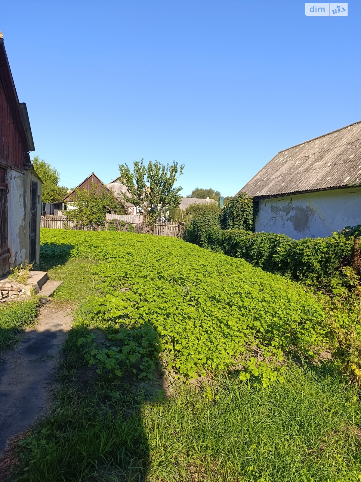 одноповерховий будинок, 71.9 кв. м, шлакобетон. Продаж у Гнівані фото 1