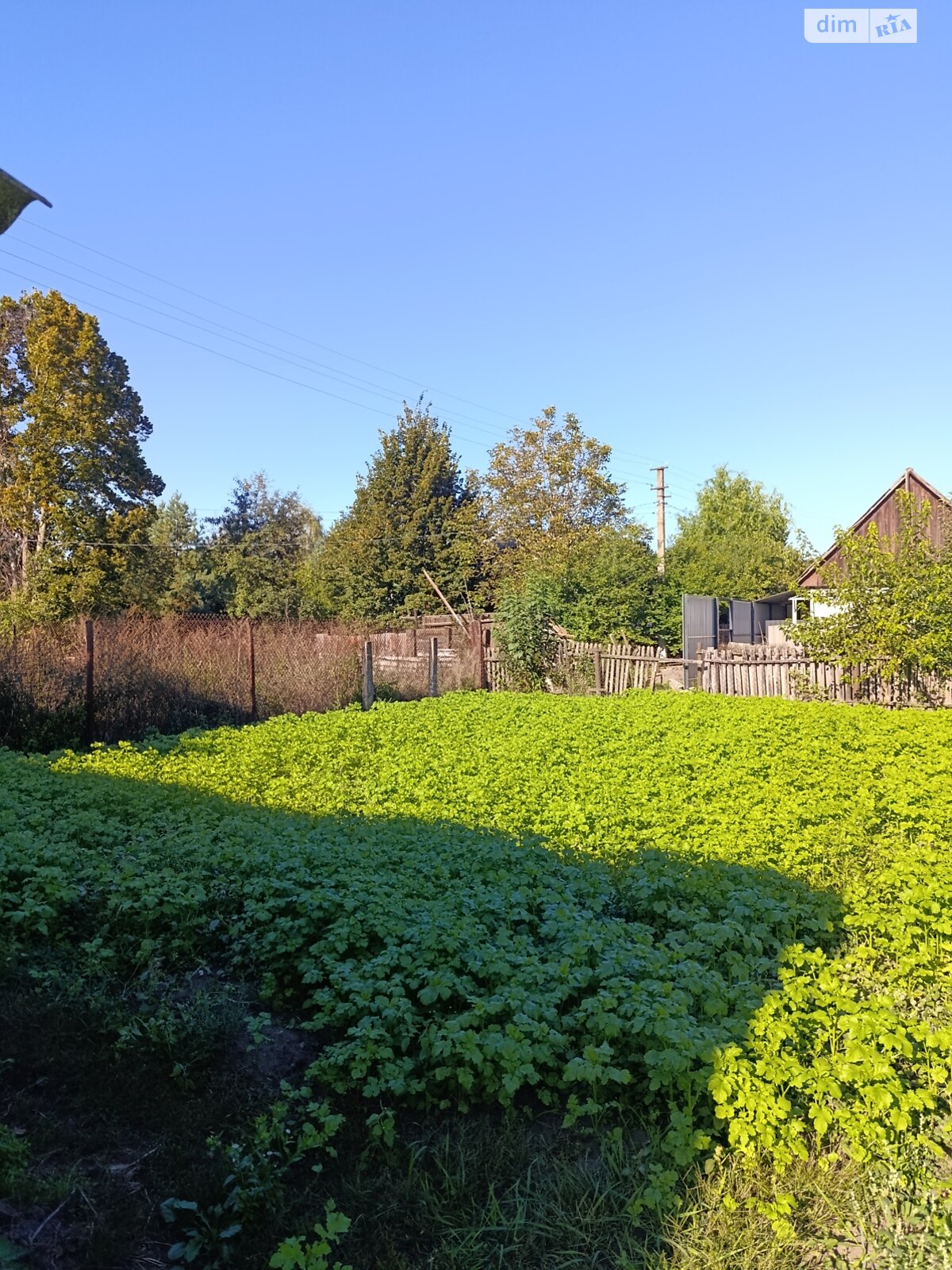 одноповерховий будинок, 71.9 кв. м, шлакобетон. Продаж у Гнівані фото 1