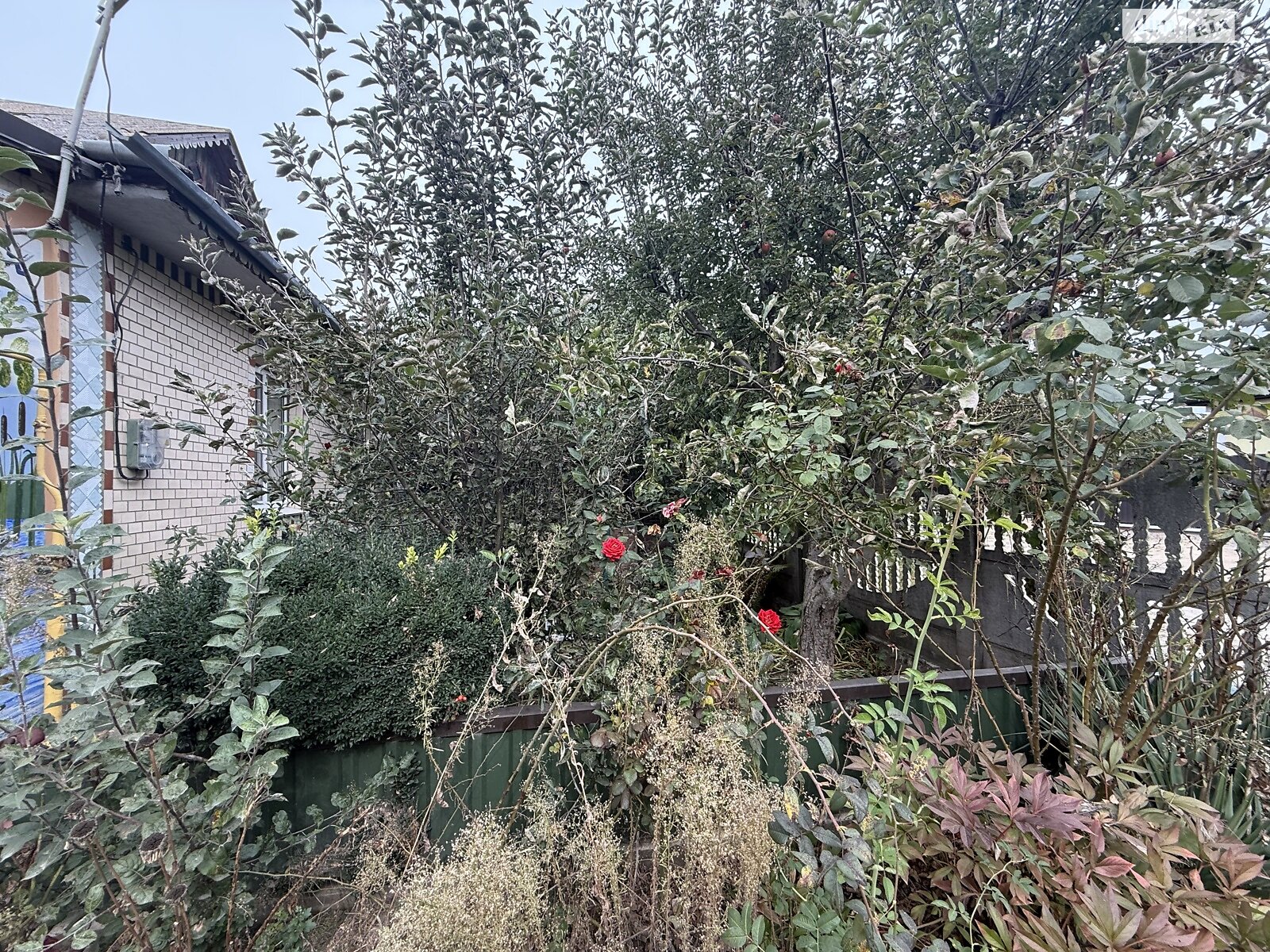 одноповерховий будинок, 60 кв. м, шлакобетон. Продаж у Гнівані фото 1