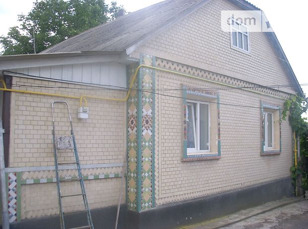 одноэтажный дом с камином, 100 кв. м, шлакобетон. Продажа в Гнивани фото 1 одноэтажный дом с камином, 100 кв. м, шлакобетон. Продажа в Гнивани фото 1