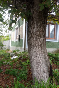 одноповерховий будинок, 68.5 кв. м, цегла. Продаж у Гольчі Першій фото 2