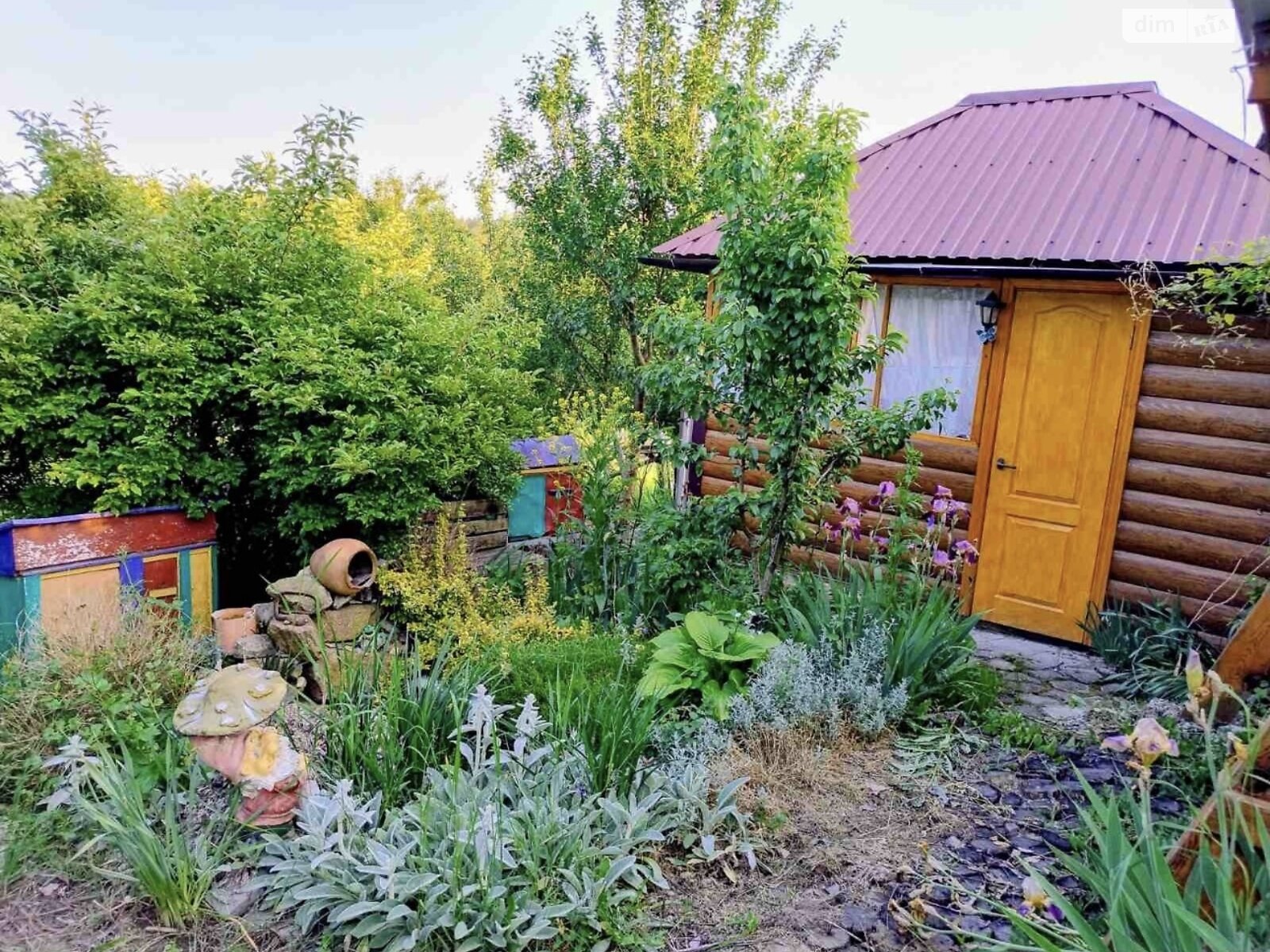 одноповерховий будинок з опаленням, 70 кв. м, глинобитний. Продаж у Голодьках фото 1 одноповерховий будинок з опаленням, 70 кв. м, глинобитний. Продаж у Голодьках фото 1