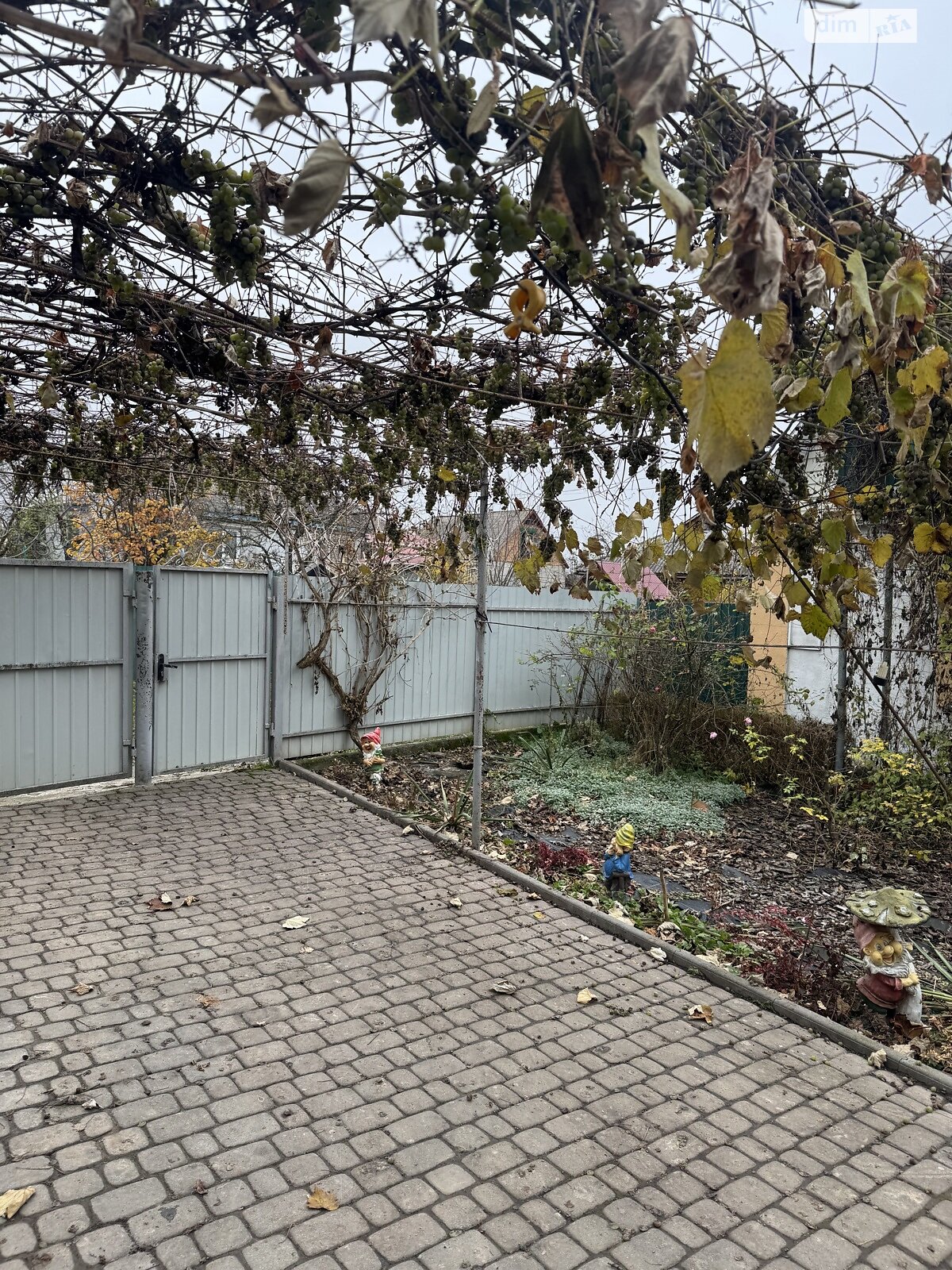 одноповерховий будинок з опаленням, 70 кв. м, глинобитний. Продаж у Голодьках фото 1 одноповерховий будинок з опаленням, 70 кв. м, глинобитний. Продаж у Голодьках фото 1