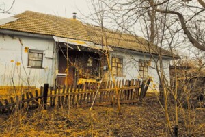 одноповерховий будинок, 44.9 кв. м, цегла. Продаж у Голохвасти фото 2