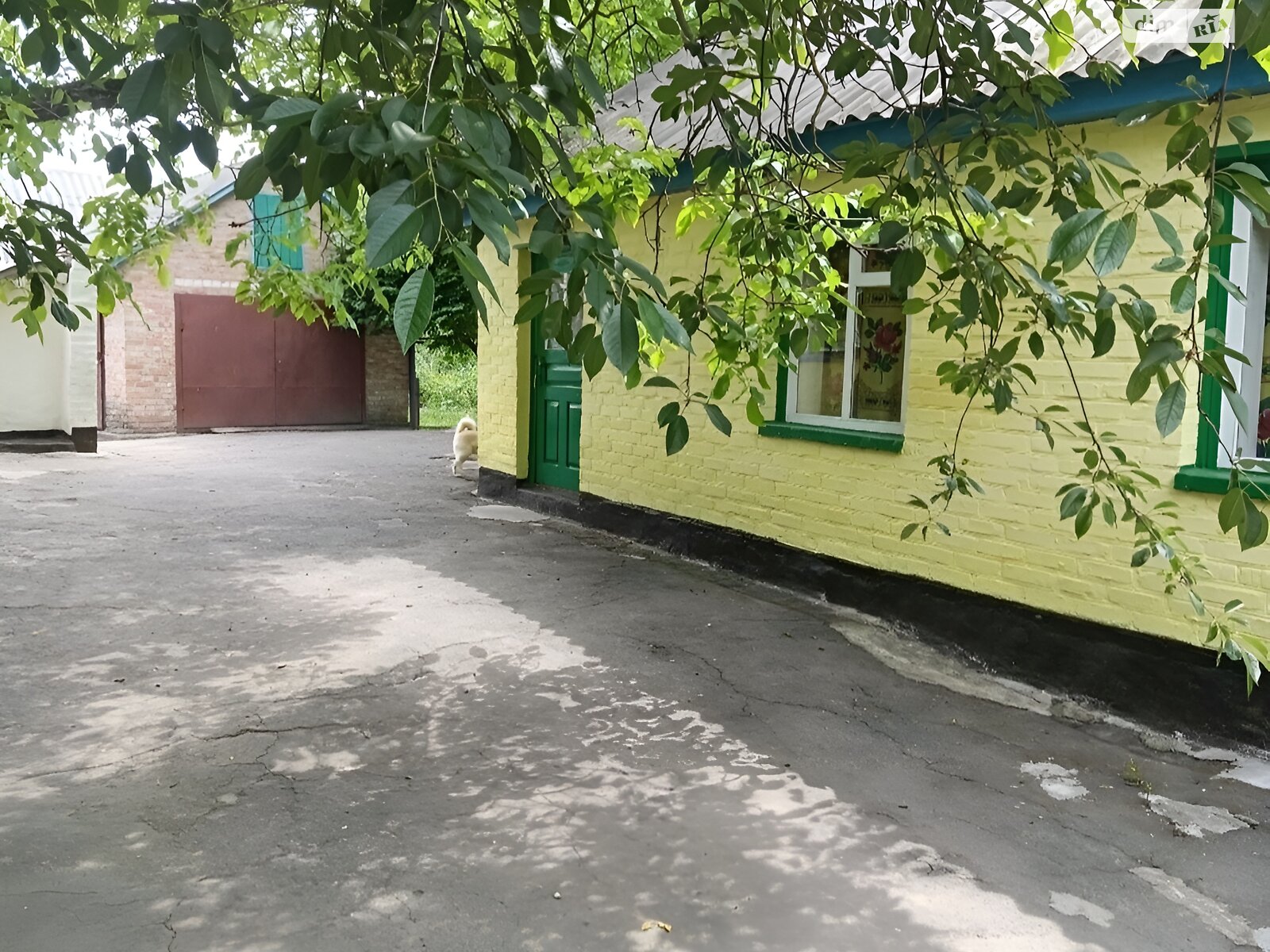 одноповерховий будинок з гаражем, 51 кв. м, цегла. Продаж у Головківці фото 1 одноповерховий будинок з гаражем, 51 кв. м, цегла. Продаж у Головківці фото 1