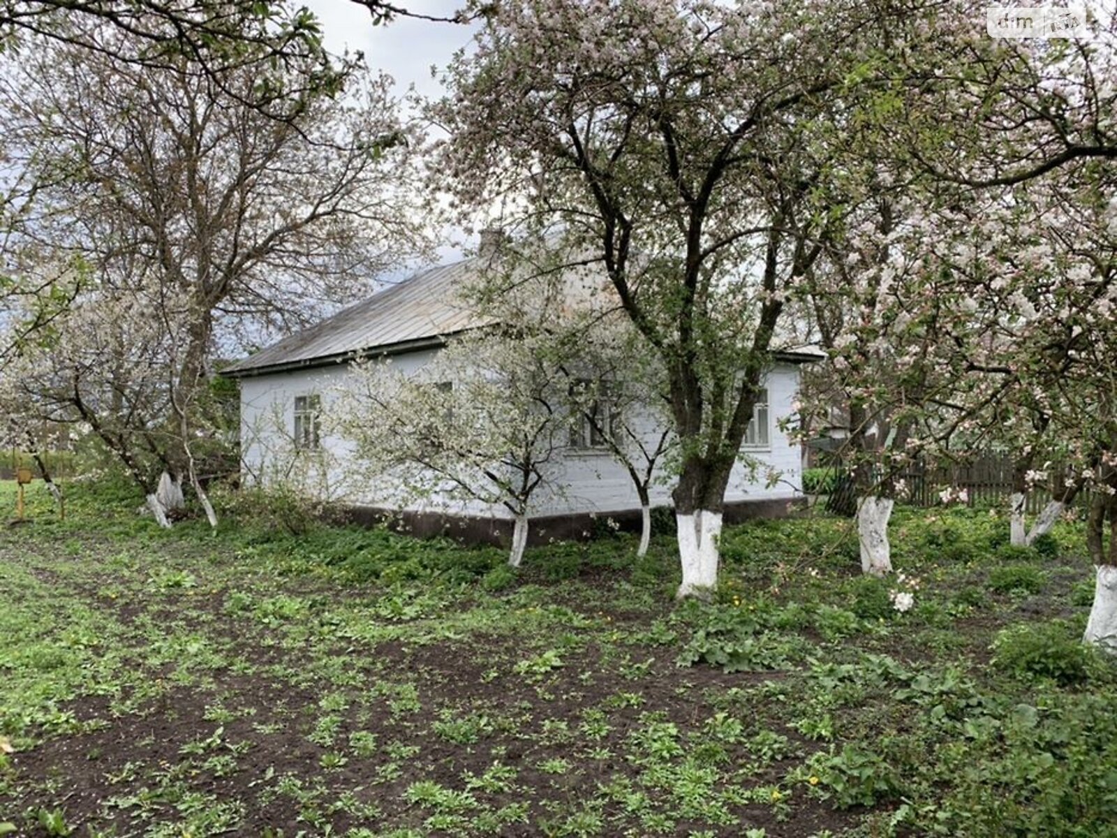 одноповерховий будинок з опаленням, 120 кв. м, зруб. Продаж у Головниці фото 1