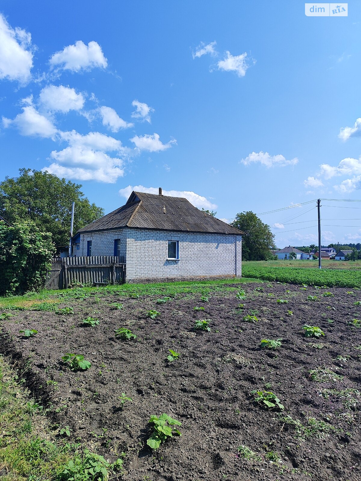 одноповерховий будинок з гаражем, 62.3 кв. м, цегла. Продаж у Головурові фото 1