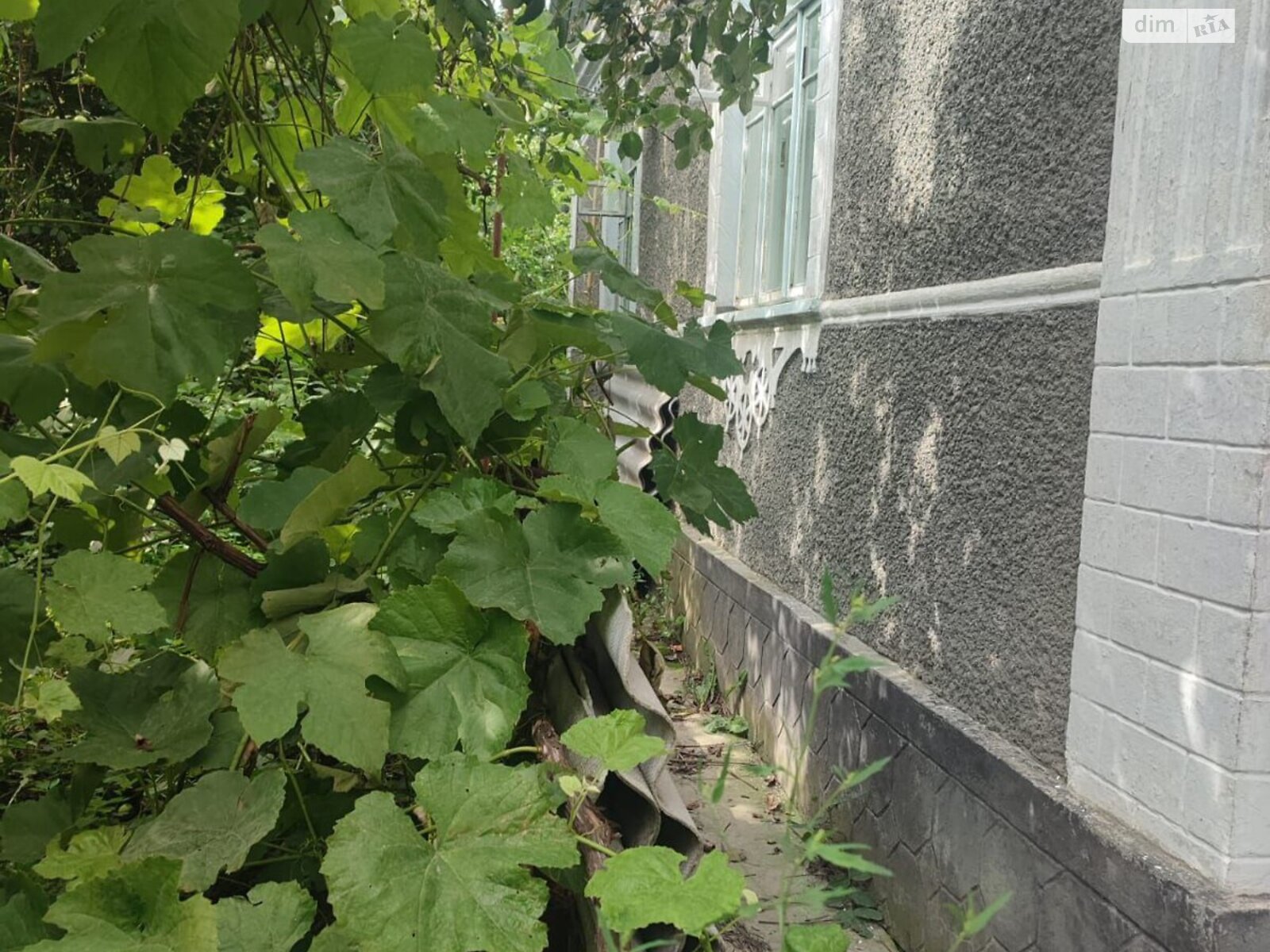 одноэтажный дом с верандой, 113.6 кв. м, кирпич. Продажа в Голозубинцах фото 1 одноэтажный дом с верандой, 113.6 кв. м, кирпич. Продажа в Голозубинцах фото 1