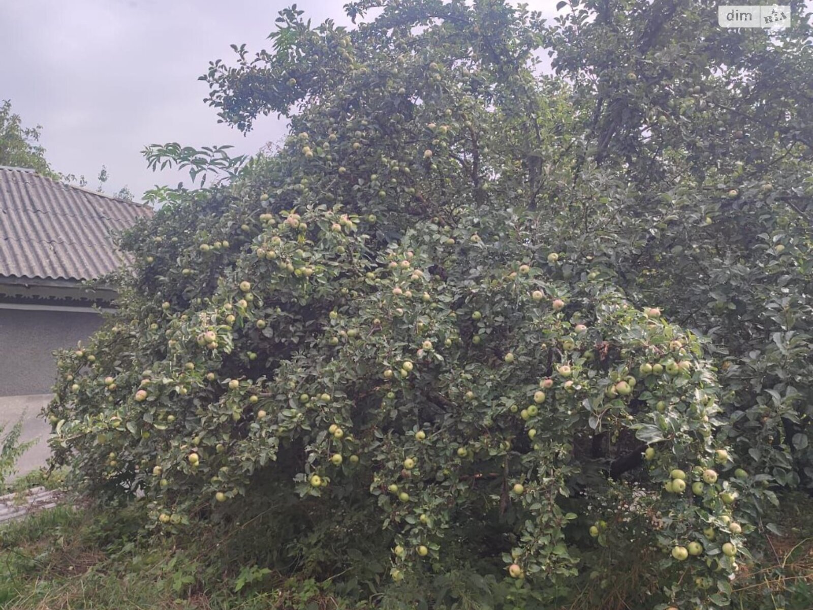 одноэтажный дом с верандой, 113.6 кв. м, кирпич. Продажа в Голозубинцах фото 1 одноэтажный дом с верандой, 113.6 кв. м, кирпич. Продажа в Голозубинцах фото 1