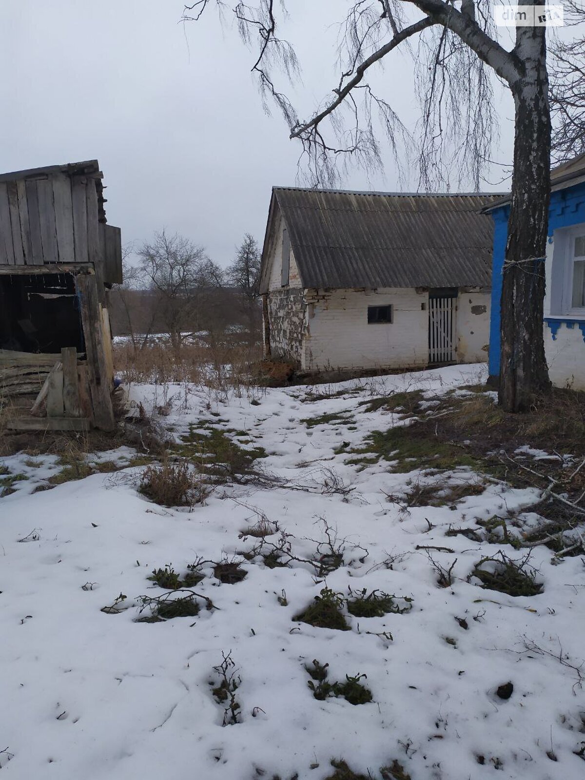 одноэтажный дом, 2500 кв. м, кирпич. Продажа в Голубятине фото 1 одноэтажный дом, 2500 кв. м, кирпич. Продажа в Голубятине фото 1