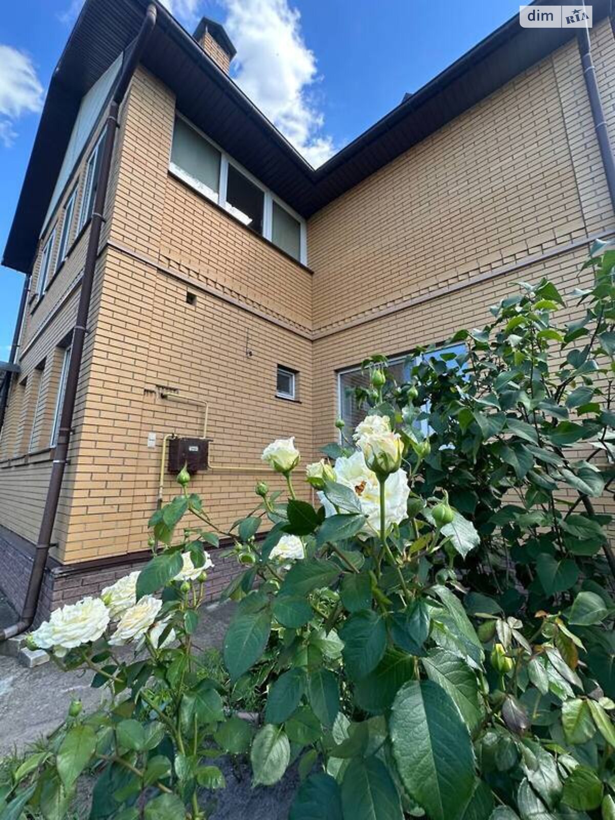 двоповерховий будинок, 331 кв. м, цегла. Продаж у Горі фото 1 двоповерховий будинок, 331 кв. м, цегла. Продаж у Горі фото 1