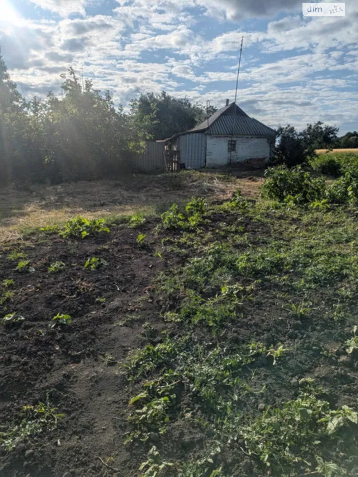 одноэтажный дом, 40 кв. м, кирпич. Продажа в Бричковке фото 1