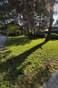 двоповерховий будинок з верандою, 250 кв. м, зруб. Продаж у Гореничах фото 2