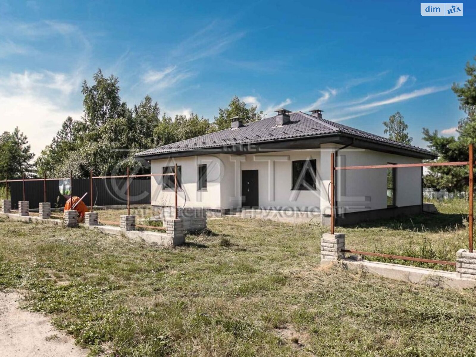 одноповерховий будинок, 130 кв. м, цегла. Продаж у Гореничах фото 1