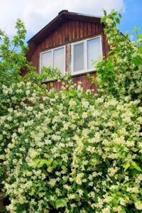 двухэтажный дом с верандой, 29.9 кв. м, кирпич. Продажа в Гореничах фото 2