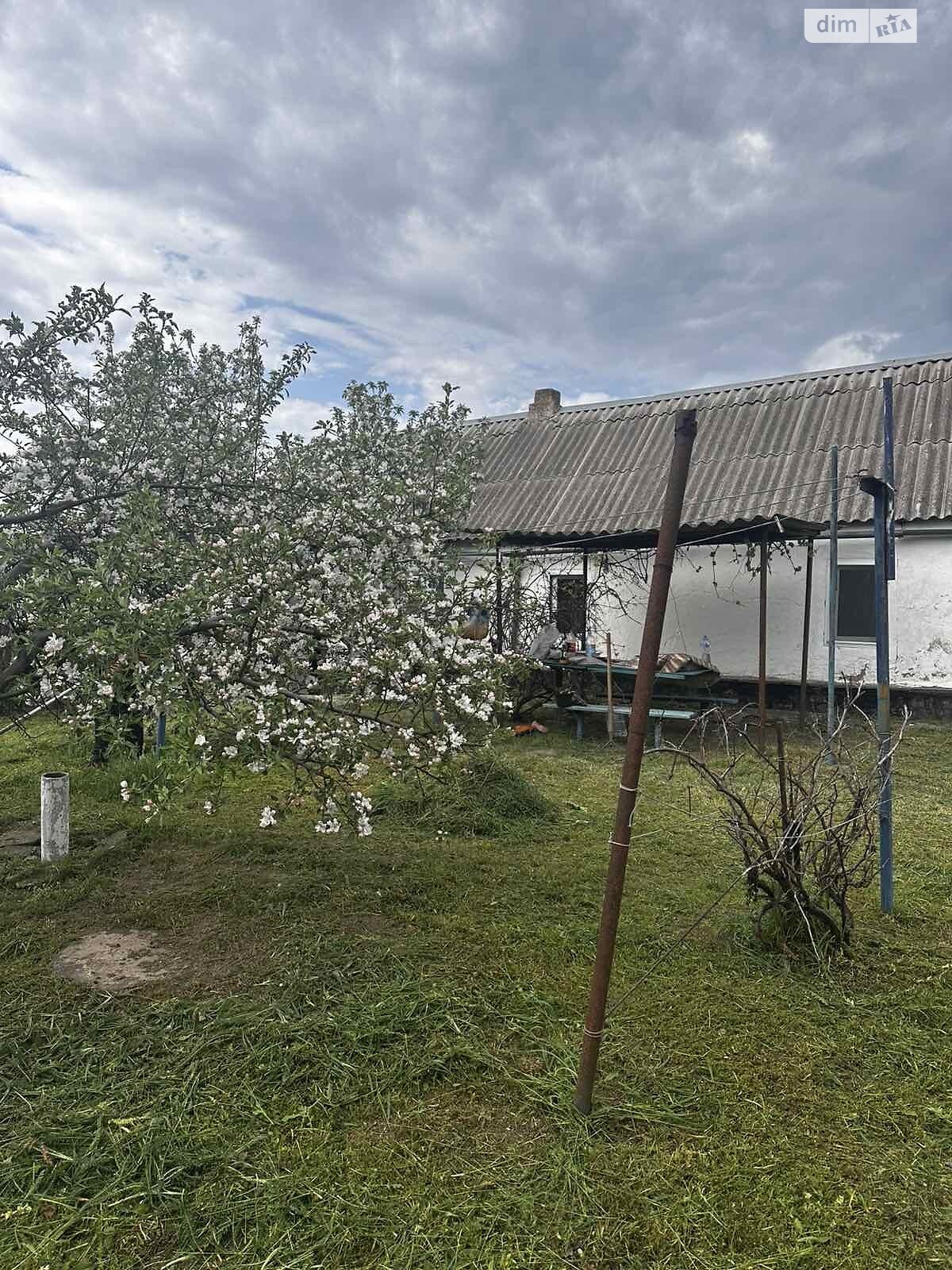 одноэтажный дом, 35 кв. м, глинобитный. Продажа в Горках фото 1 одноэтажный дом, 35 кв. м, глинобитный. Продажа в Горках фото 1