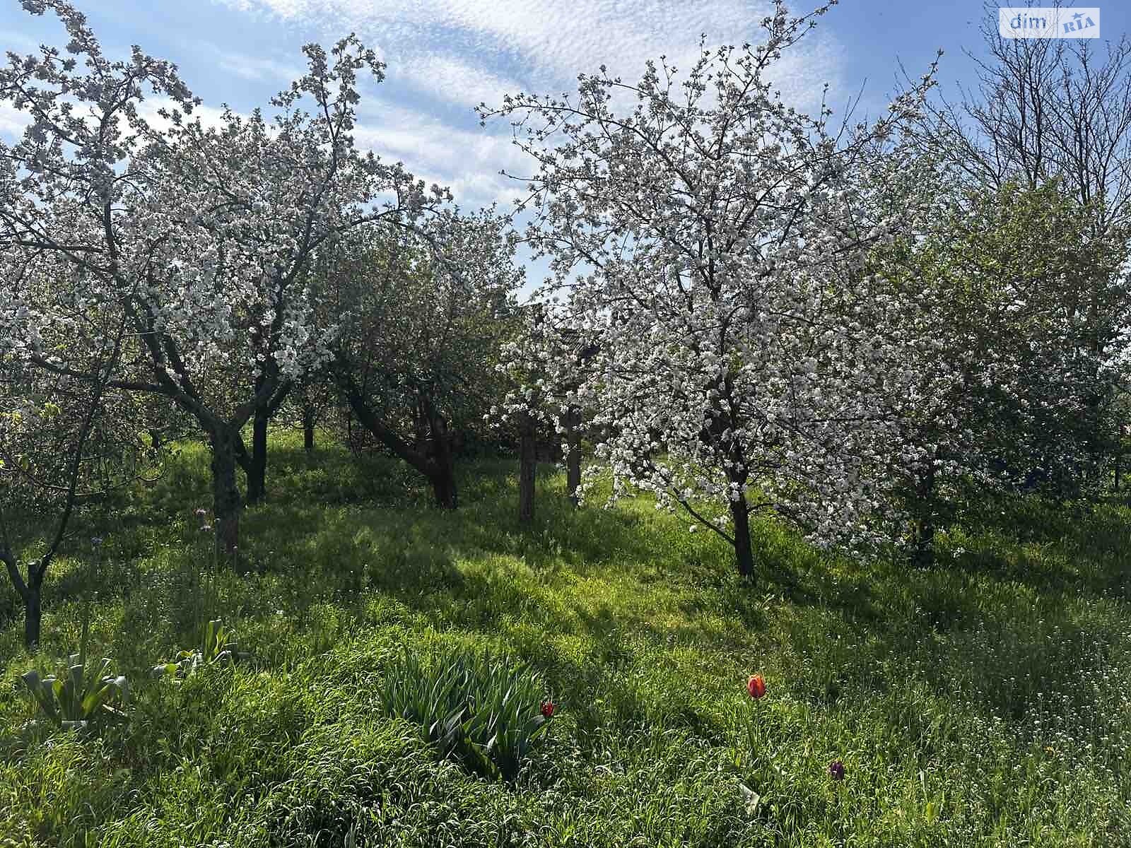 одноэтажный дом, 35 кв. м, глинобитный. Продажа в Горках фото 1 одноэтажный дом, 35 кв. м, глинобитный. Продажа в Горках фото 1