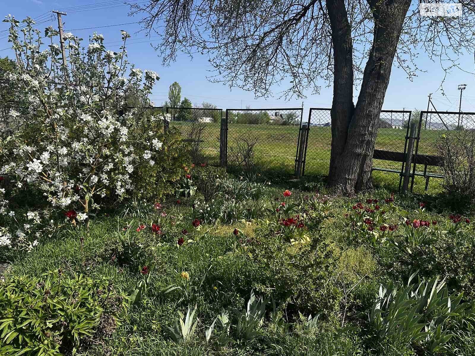 одноэтажный дом, 35 кв. м, глинобитный. Продажа в Горках фото 1 одноэтажный дом, 35 кв. м, глинобитный. Продажа в Горках фото 1