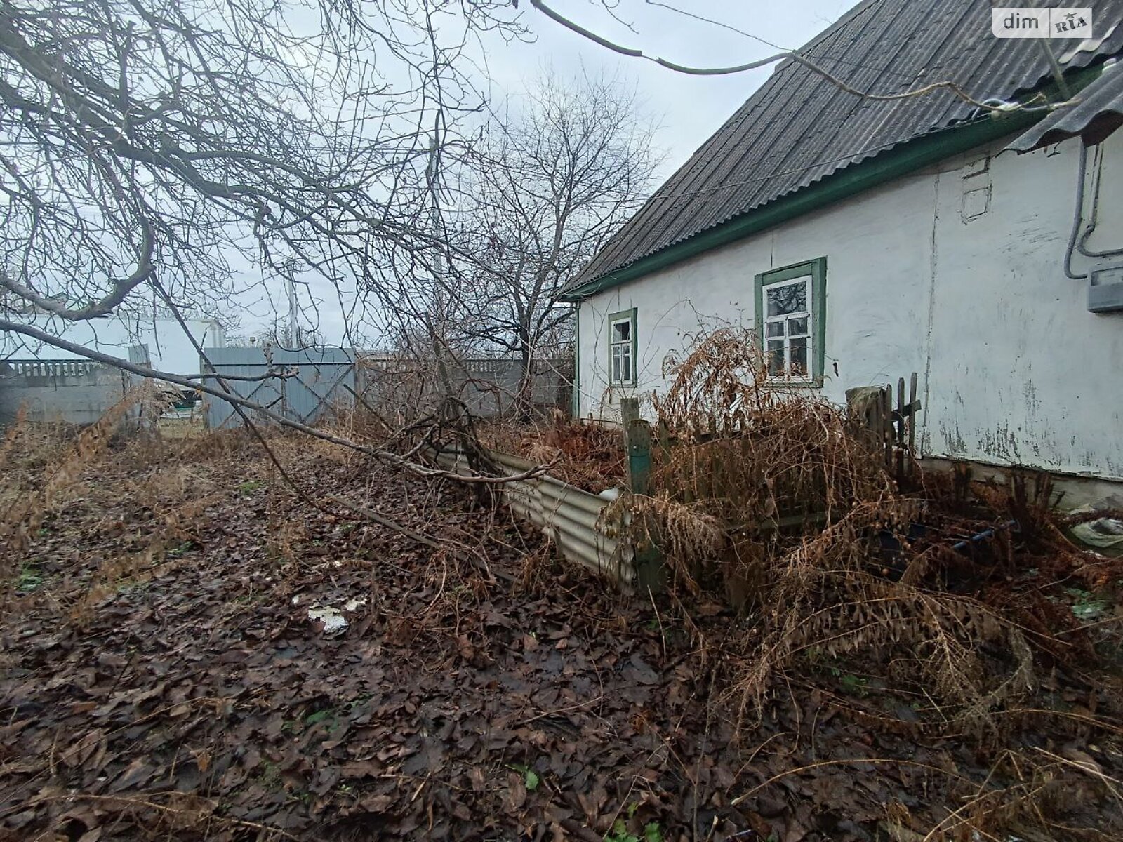одноэтажный дом, 200 кв. м, кирпич. Продажа в Гостомеле фото 1 одноэтажный дом, 200 кв. м, кирпич. Продажа в Гостомеле фото 1