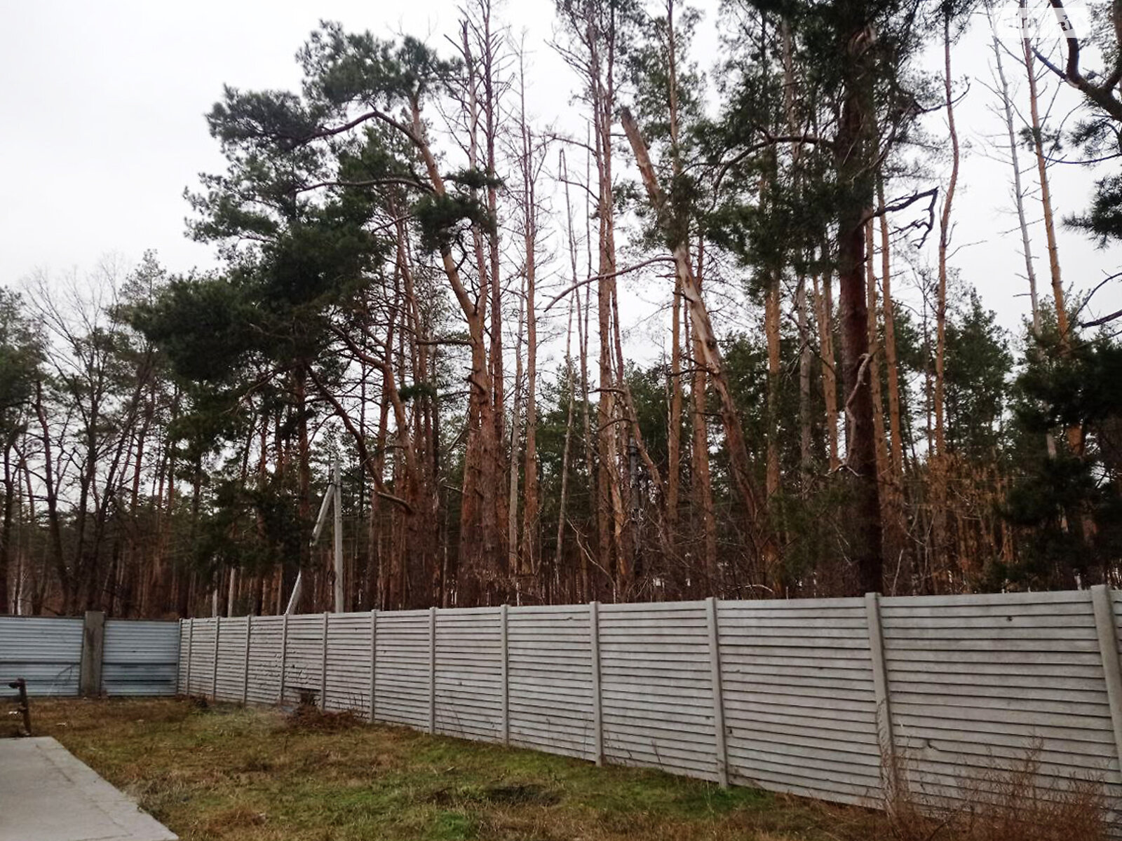 одноповерховий будинок, 120 кв. м, пінобетон. Продаж у Гостомелі фото 1 одноповерховий будинок, 120 кв. м, пінобетон. Продаж у Гостомелі фото 1