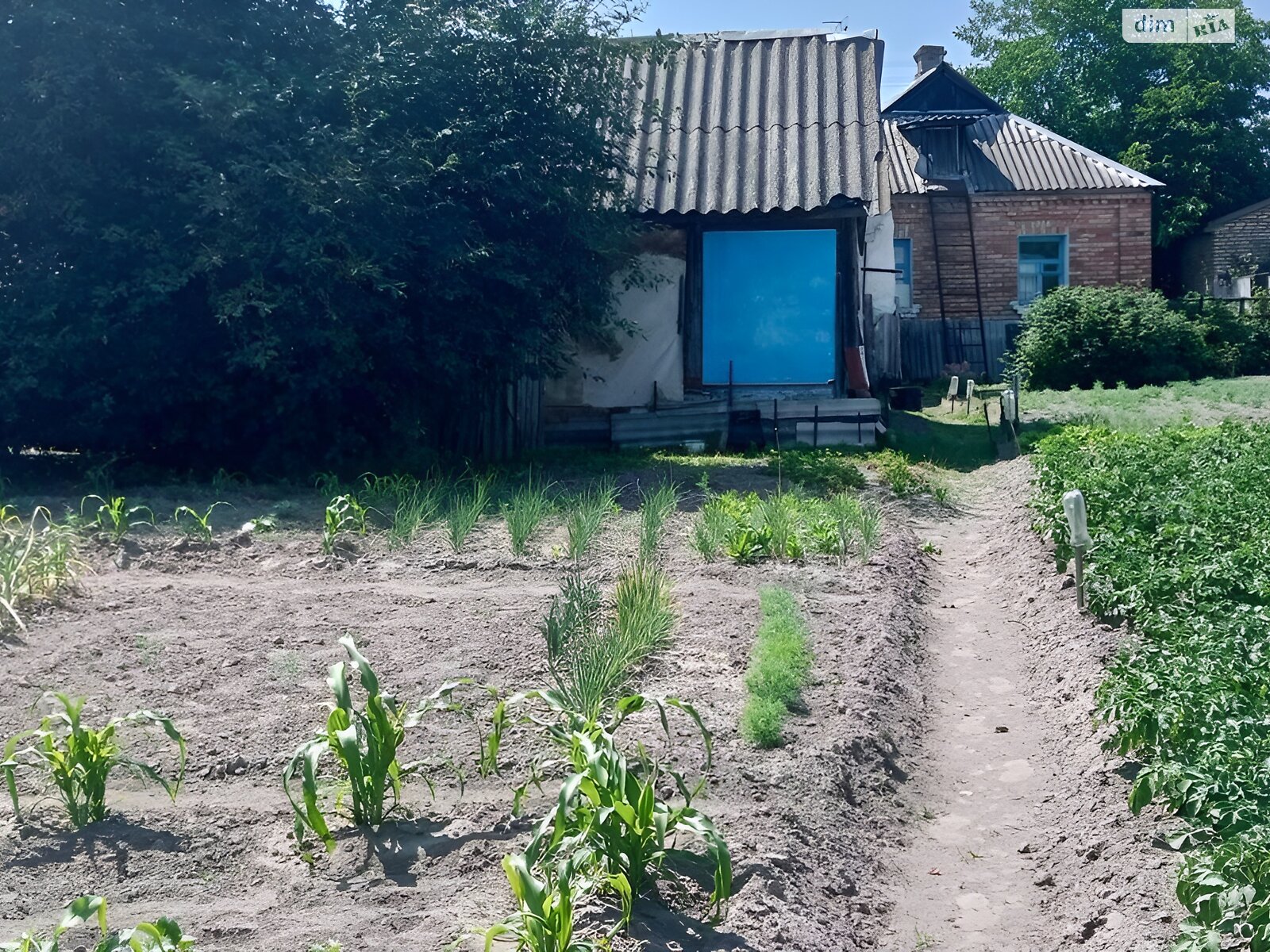 одноповерховий будинок, 60 кв. м, кирпич. Продаж у Гостомелі фото 1 одноповерховий будинок, 60 кв. м, кирпич. Продаж у Гостомелі фото 1